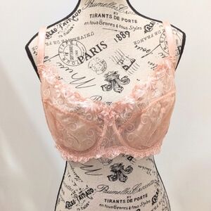 DEYLLO | Women's Pink/Nude Underwire Embroidered Unpadded Sexy Lace Bra